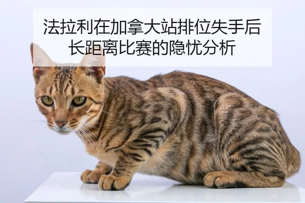fa-la-li-zai-jia-na-da-zhan-pai-wei-shi-shou-hou-zhang-ju-li-bi-sai-de-yin-you-fen-xi-2-930.jpg