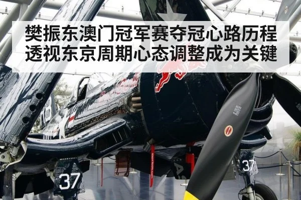 樊振东澳门冠军赛夺冠心路历程透视东京周期心态调整成为关键